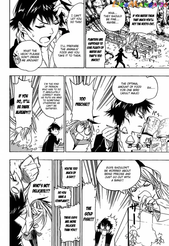 Nisekoi Chapter 1 image 28_optimized